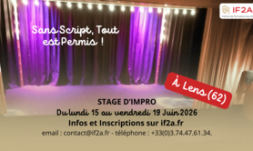 Stage Impro - Sans Script Tout est Permis