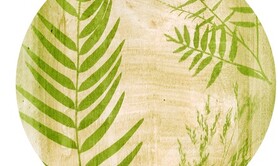 Atelier Cyanotype Anthotype, une œuvre avec le soleil
