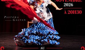 Spectacle Flamenco