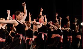 Association pimienta  - cours de flamenco