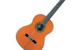 Lionel  - Cours de Guitare débutant et Batterie tous niveaux