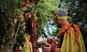 Les Hellébores - Art'monie - Déambulation nature avec échassier