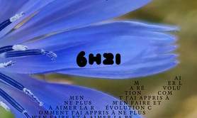 Marc Buchy - Horloge de flore 