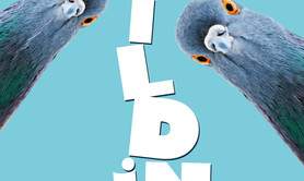 Cie Colimaçons - BUILDING