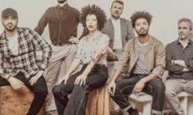 The Buttshakers  