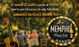 Le Duo LES MEMPHIS 2 Guitare Voix Harmonica en LIVE!