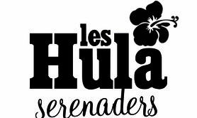 AMM20 - Spectacle de musique et hula danse Hawaï