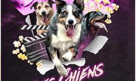 Compagnie Dog Trainer - Les Chiens font leur Cinéma