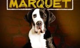 Thierry Marquet - Foutage de Gueule ? ( Tournée )