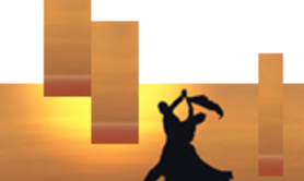 LEADING - Danse de Salon