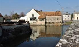 Le circuit des mares