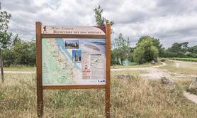Marais de Ludon