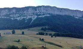 Stages de musique de l'association Musique et nature