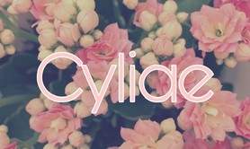 Cyliae  - Cours de couture à domicile