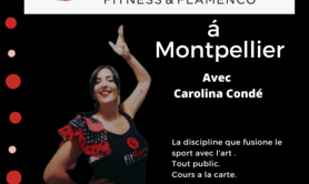 Carolina Condé Association Aljamia - Flamenco Oriental 