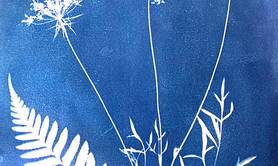 Ateliers Cyanotype et Photogramme argentique