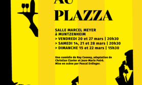 Panique au Plazza par Le Théâtre s'en mêle