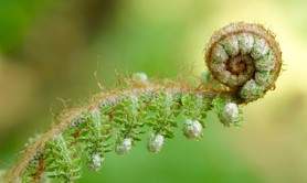 Atelier Munz Floor et bols chantants