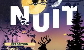 Exposition Nuit