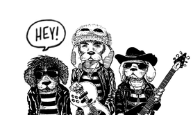 LES BEAGLE STRIPES - Poprock Dub