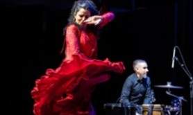 Ana Crisman, Arpa Flamenca - Théâtre du Chêne Noir, Avignon