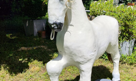 Donne licorne 