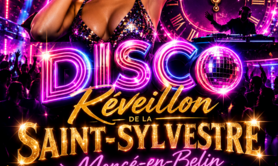 REVEILLON DISCO PARTY SARTHE