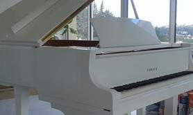 Olga  Romanovskaia - Cours particuliers de piano, chant et solfège