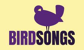 BIRDSONGS - Groupe Pop