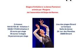 Stage de Flamenco
