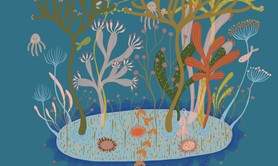 Camille Anssel - Le voyage de Mielikki