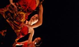 maud torterat - l'art en mouvement