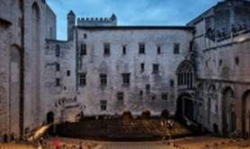 Oiseau - Festival d'Avignon