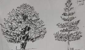 Stage de dessin du paysage