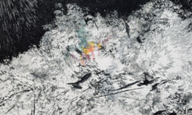 Vestige • exposition collective