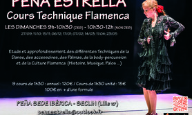 Stages de danse Flamenco: Technique