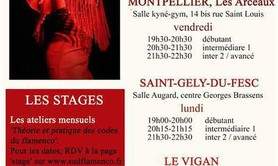 Cours de flamenco Gard et Hérault : La Pescaora