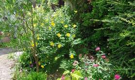 Hélène Cloître - L'école atelier