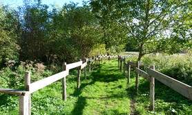 Parc Naturel Départemental - Prairie du Puiseaux et du Vernisson
