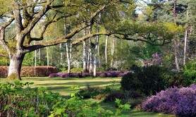 Arboretum des Grandes Bruyères