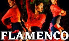 Cabaret Flamenco Lyon