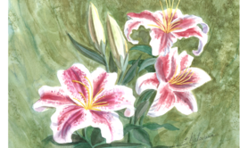 Edmée MALAVAUX - Cours particuliers d'AQUARELLE toute l'année sur RdV