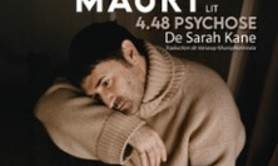 Nicolas Maury - 4.48 Psychose De Sarah Kane - Théâtre de la Madeleine, Paris