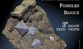 3e SALON MINERAUX FOSSILES BIJOUX de DAX (Landes)