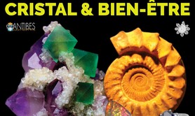 14ème Salon des Minéraux d'Antibes