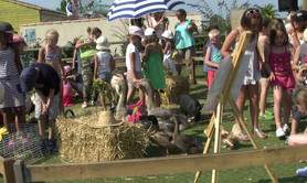 LE MONDE MERVEILLEUX DE BOUBOU - Ferme itinerante musicale