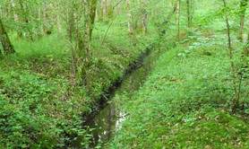 Espace naturel sensible de la Ferté-Vidame