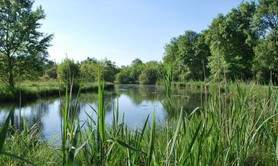 Le site naturel du Moron
