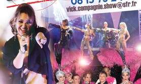 VICK & CO SHOW - Revue cabaret, Le temps des yéyés, années 80, artiste solo..