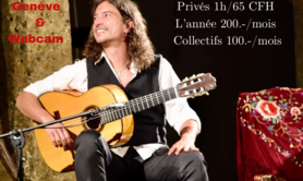 David Colomo «  Pajarillo «  - Cours de guitare Flamenca